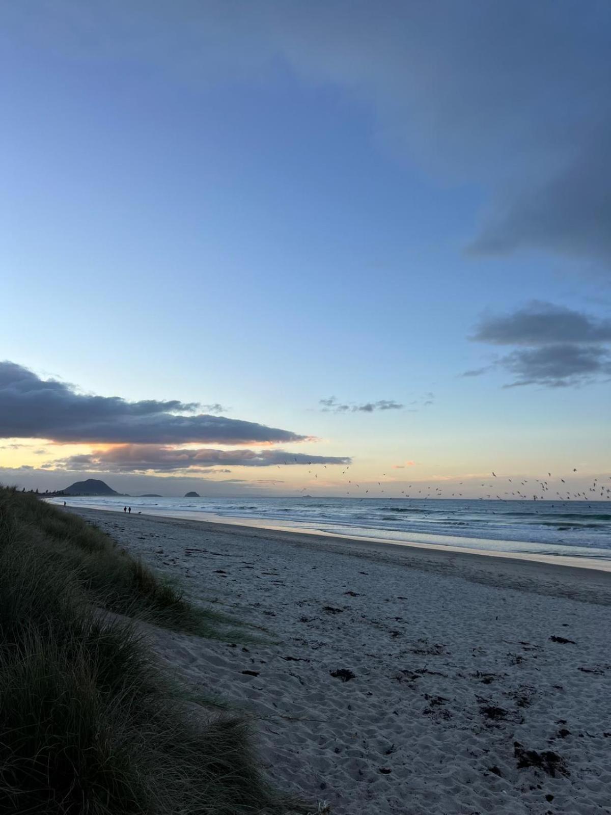 Papamoa Beach, Pohutukawa Deluxe Studio, On Hugoway Екстер'єр фото